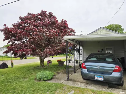 225 E Hickory St, Canton, IL 61520 photo 38