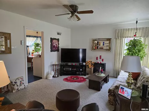225 E Hickory St, Canton, IL 61520 photo 5