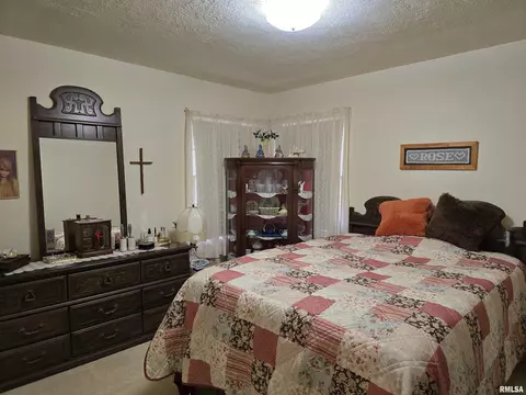 225 E Hickory St, Canton, IL 61520 photo 16