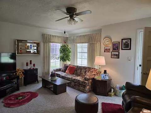 225 E Hickory St, Canton, IL 61520 photo 10