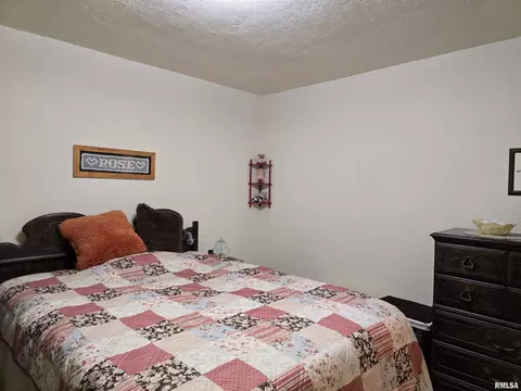 225 E Hickory St, Canton, IL 61520 photo 18