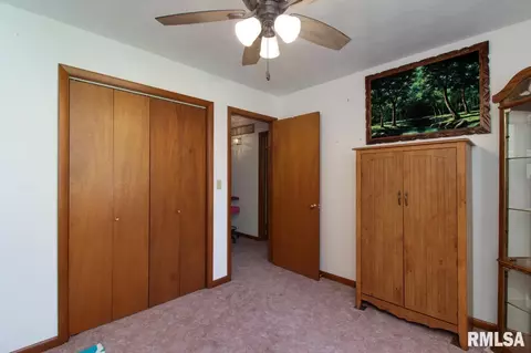 508 Oak St, Delavan, IL 61734 photo 15