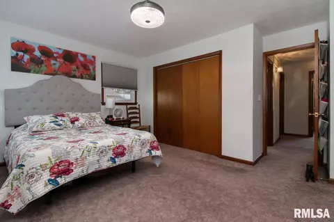 508 Oak St, Delavan, IL 61734 photo 18