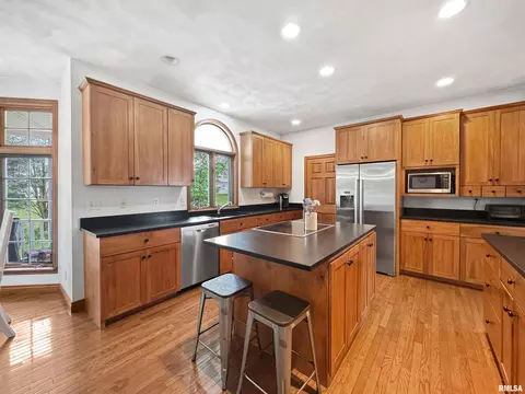 206 Windsor Dr, Germantown Hills, IL 61548 photo 10