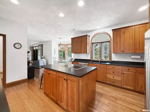 206 Windsor Dr, Germantown Hills, IL 61548 photo 9