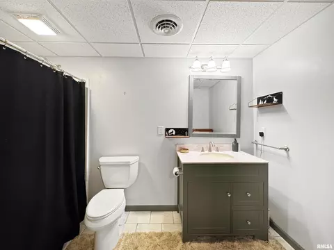 206 Windsor Dr, Germantown Hills, IL 61548 photo 52