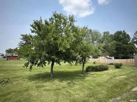 106 Walnut St, Avon, IL 61415 photo 33