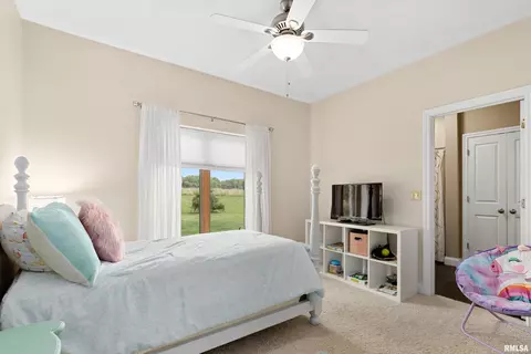 Bedroom - 7412 W Pfeiffer Rd, Mapleton, IL 61547 photo 5 of 11
