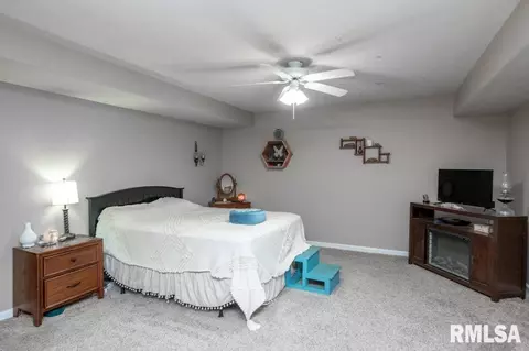920 Bull St, Normal, IL 61761 photo 14