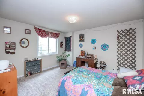 920 Bull St, Normal, IL 61761 photo 17