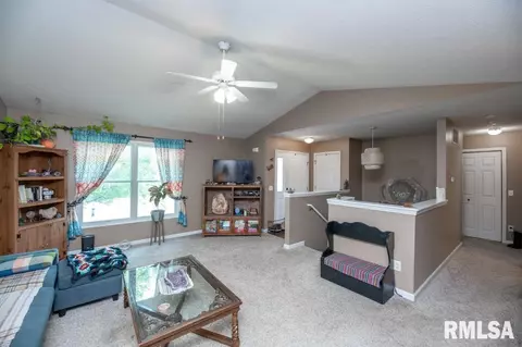920 Bull St, Normal, IL 61761 photo 3