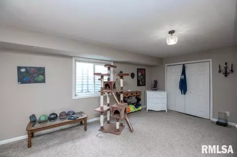 920 Bull St, Normal, IL 61761 photo 16