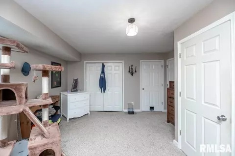 920 Bull St, Normal, IL 61761 photo 15