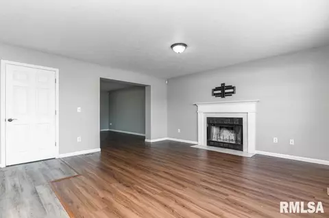 2331 W Molly Ln, Dunlap, IL 61525 photo 10