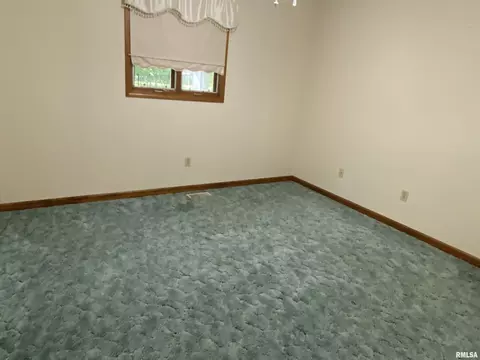 1661 E Myrtle St, Canton, IL 61520 photo 20
