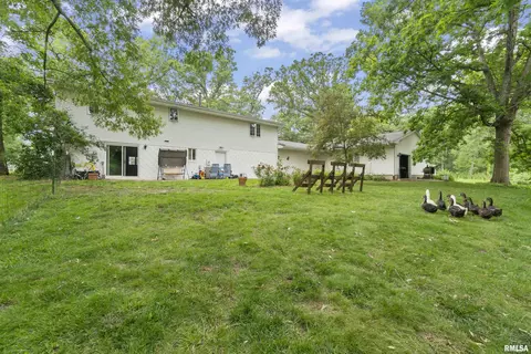 201 E Lake Shore Dr, Edelstein, IL 61526 photo 31