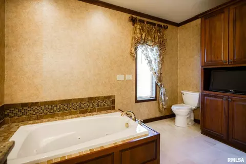Bath - 241 Birch Pl, Kewanee, IL 61443 photo 3 of 8