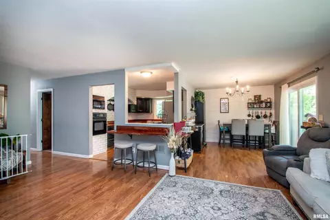 324 Pinecrest Dr, Germantown Hills, IL 61548 photo 8