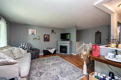 324 Pinecrest Dr, Germantown Hills, IL 61548 photo 4