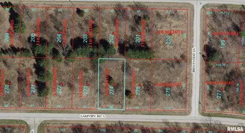 2274 S Lakeview Rd, Dahinda, IL 61428