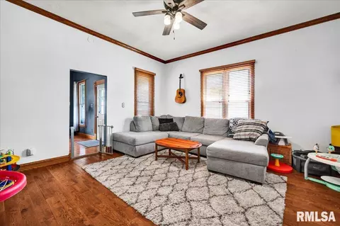 Other - 203 E Pine St, Dunlap, IL 61525 photo 4 of 9
