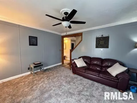 Other - 964 E Locust St, Canton, IL 61520 photo 4 of 10