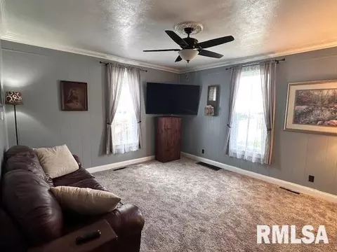 Other - 964 E Locust St, Canton, IL 61520 photo 3 of 10