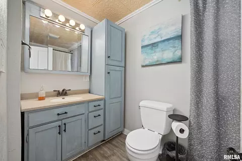 Bath - 411 E 3rd St, Delavan, IL 61734 photo 1 of 2