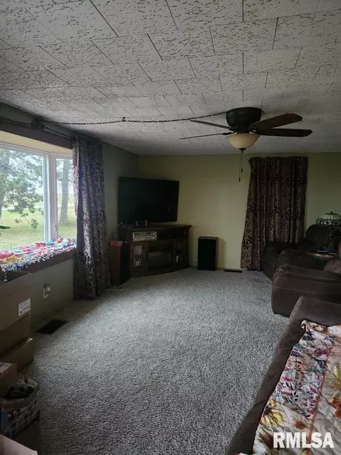 19635 E 800th St, Sciota, IL 61475 photo 13