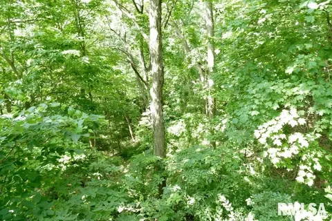 706 Banta Rd, Lowpoint, IL 61545 photo 57