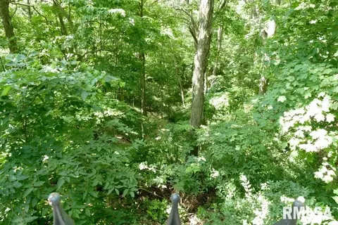 706 Banta Rd, Lowpoint, IL 61545 photo 56