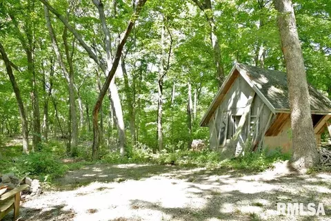 706 Banta Rd, Lowpoint, IL 61545 photo 69
