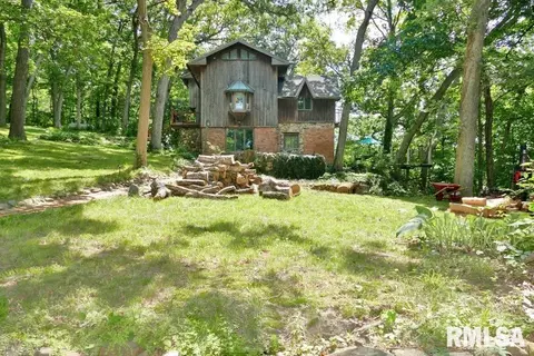 706 Banta Rd, Lowpoint, IL 61545 photo 63