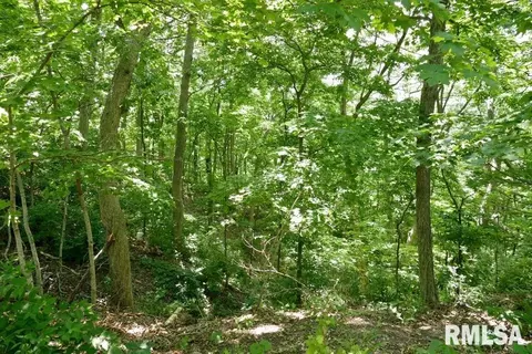 706 Banta Rd, Lowpoint, IL 61545 photo 70
