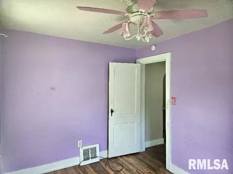 246 E Myrtle St, Canton, IL 61520 photo 7