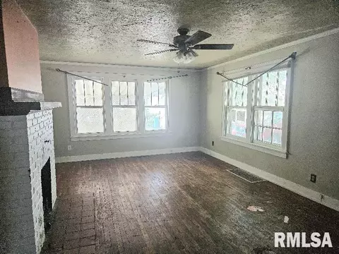 246 E Myrtle St, Canton, IL 61520 photo 2