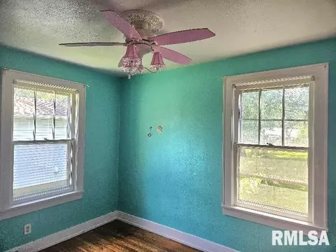 246 E Myrtle St, Canton, IL 61520 photo 6