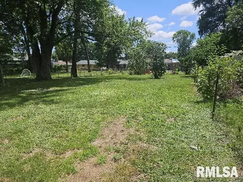 246 E Myrtle St, Canton, IL 61520 photo 9