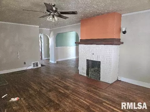 246 E Myrtle St, Canton, IL 61520 photo 3