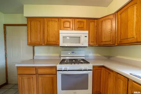 105 E 9th St, Delavan, IL 61734 photo 16