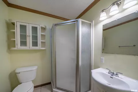 105 E 9th St, Delavan, IL 61734 photo 22