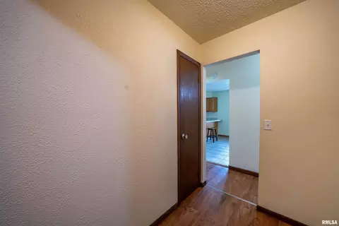 105 E 9th St, Delavan, IL 61734 photo 32