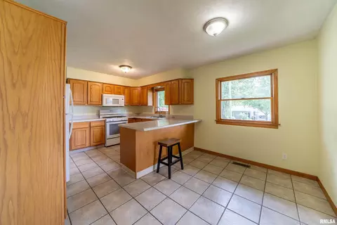 105 E 9th St, Delavan, IL 61734 photo 9