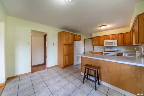 105 E 9th St, Delavan, IL 61734 photo 8