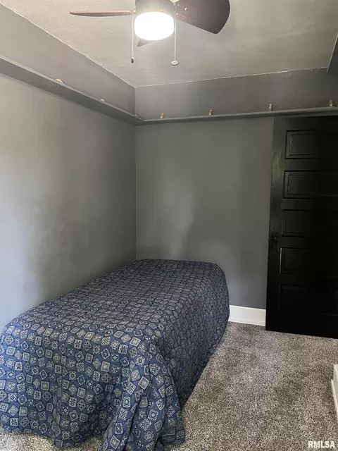 236 W Grant St, Macomb, IL 61455 photo 49