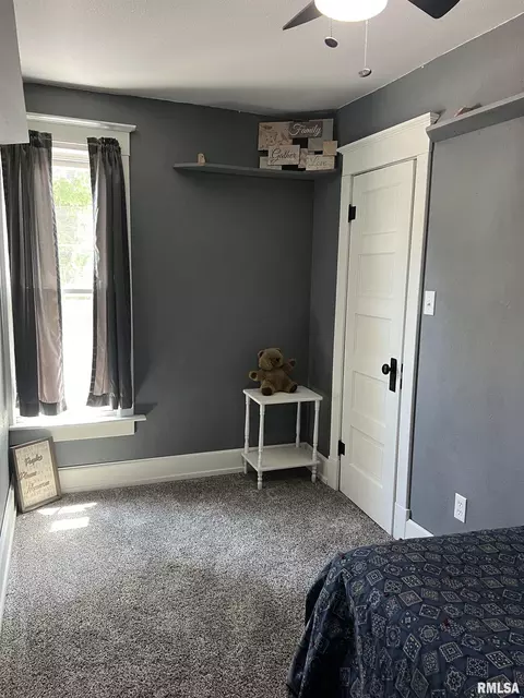 236 W Grant St, Macomb, IL 61455 photo 48