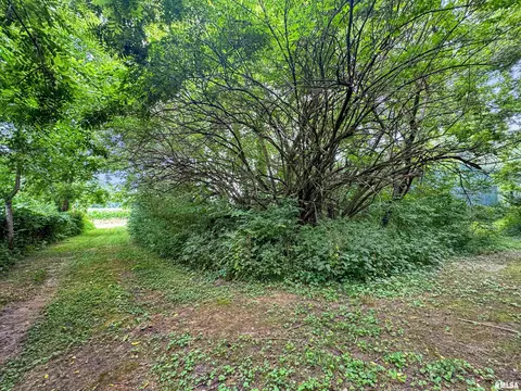 Exterior - 1819618200 River Rd, Danvers, IL 61732 photo 15 of 24