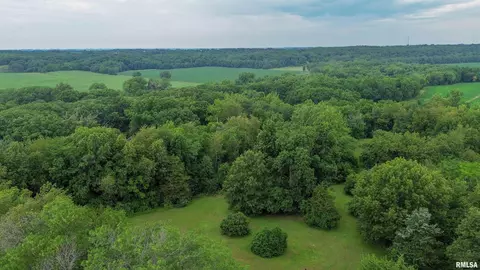 Other - 1819618200 River Rd, Danvers, IL 61732 photo 20 of 20