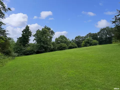 Exterior - 1819618200 River Rd, Danvers, IL 61732 photo 21 of 24
