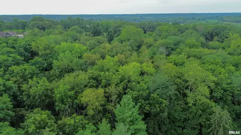 View/Area - 1819618200 River Rd, Danvers, IL 61732 photo 2 of 4